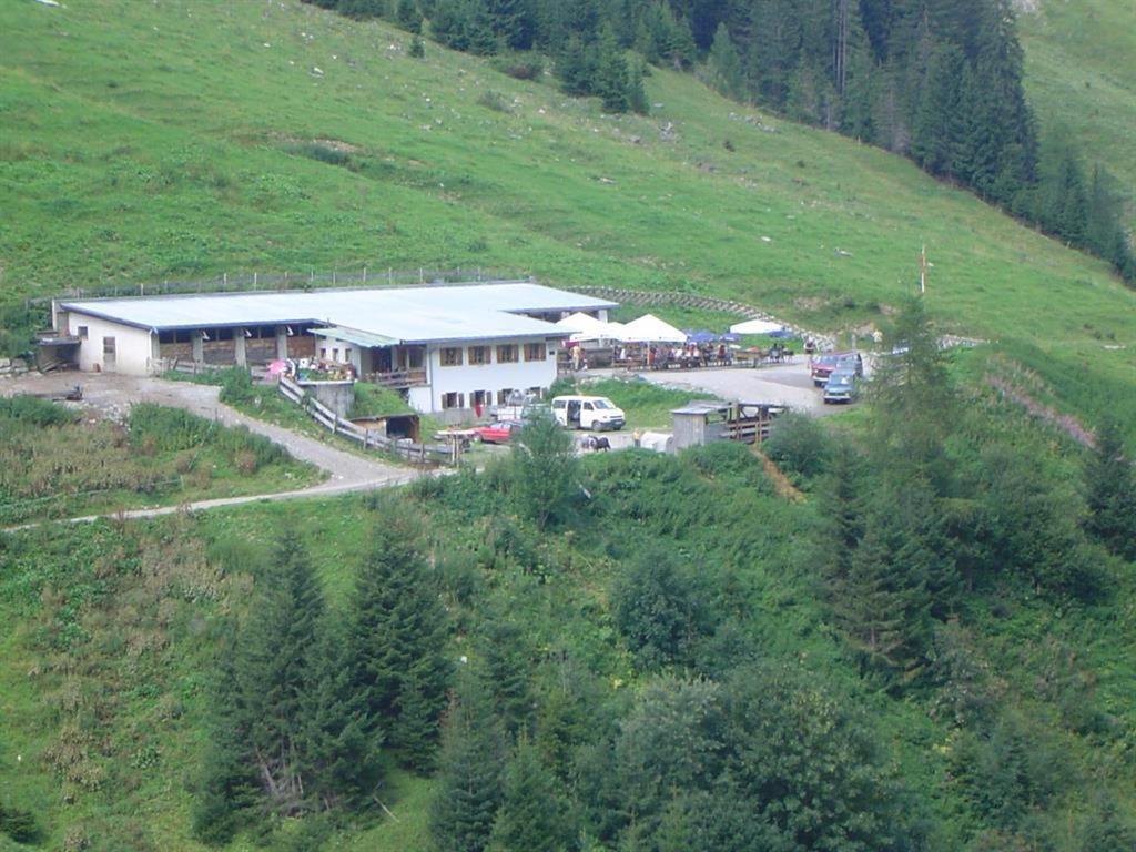 הוילה הולצגאו Haus Laerchenhof מראה חיצוני תמונה